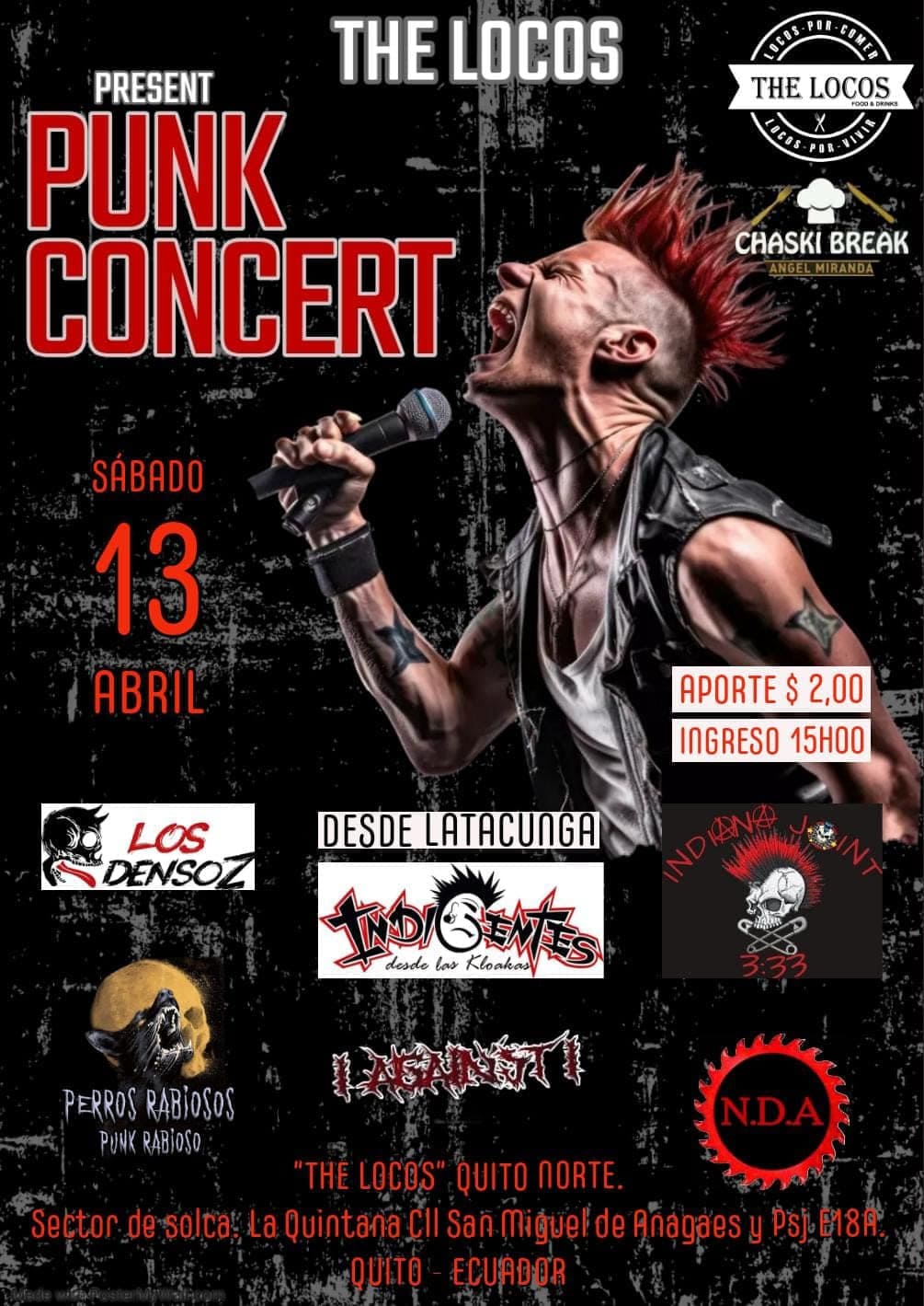 Afiche Punk Concert